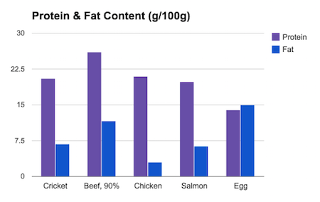 cricket protein, cricket nutrition, cricket protein bars, cricket flour, cricket bar, cricket protein powder, exo cricket bars, exo cricket, exo, cricket food, cricket sustainability,
