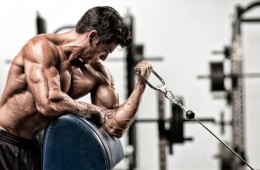 Target Practice: Add Massive Size To Your BICEPS With These 5 Power Biceps Exercises [Exercise Lists]