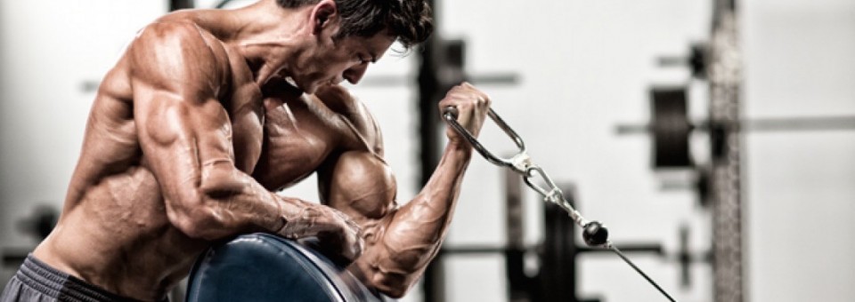 Target Practice: Add Massive Size To Your BICEPS With These 5 Power Biceps Exercises [Exercise Lists]