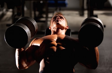 [WOTM, 09/2015] Lean Out And Harden Your Body With The 3-Day Body Shredder Workout Split