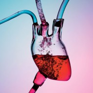 20 Motivational Fitness Pictures a la Pinterest