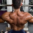 [UPWOD Nº12] The ROW, ROW, ROW Your Back Workout — Back, Biceps, HIIT