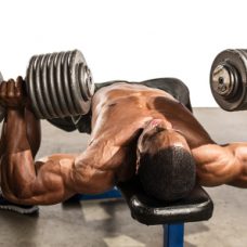 chest workout, chest workout plans, workout of the day, wod, daily workout, workouts, workout plan, workout plans, workout routine, workout routines, work out, gym workout, work out plans, workout program