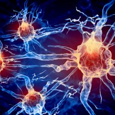 [SPONSORED] Can Hormones Keep You Young?