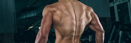 back workout, workout of the day, wod, daily workout, workouts, workout plan, workout plans, workout routine, workout routines, work out, gym workout, work out plans, workout program