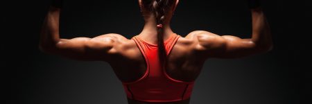 back workout, workout of the day, wod, daily workout, workouts, workout plan, workout plans, workout routine, workout routines, work out, gym workout, work out plans, workout program